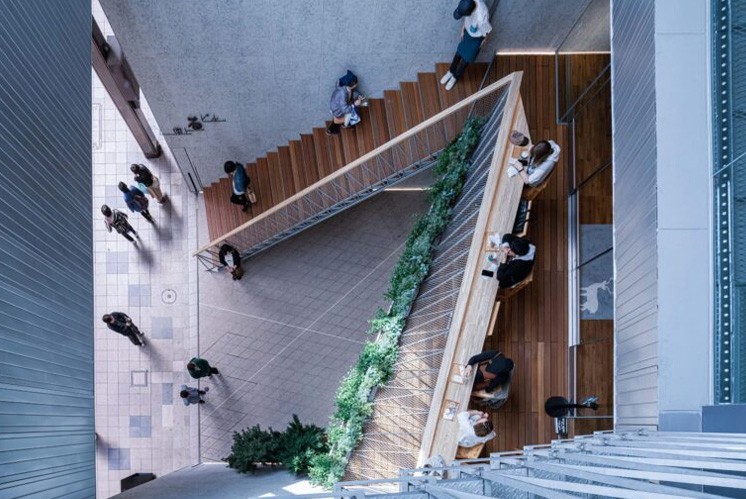 光與木的溫暖敘事：標(biāo)識設(shè)計中的人文關(guān)懷 